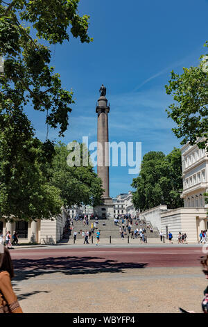 Duke of York Column from The Mall, London. Stock Photo