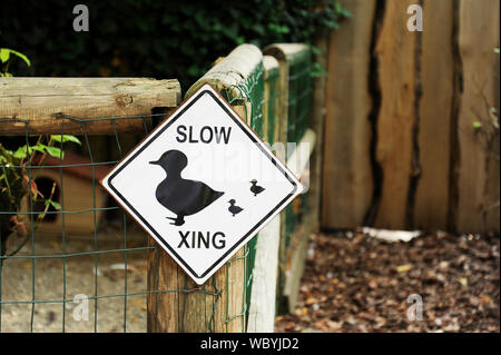 Crossing ducks sign posted on a wooden beam next to a barn. Stock Photo