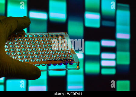 DNA testing. Well plate on the background of electrophoregram. Stock Photo