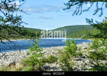 Northern taiga river in the Polar Urals. Summer water landscape, Haramatolou river in the Yamalo-Nenets Autonomous district, Russia. Stock Photo