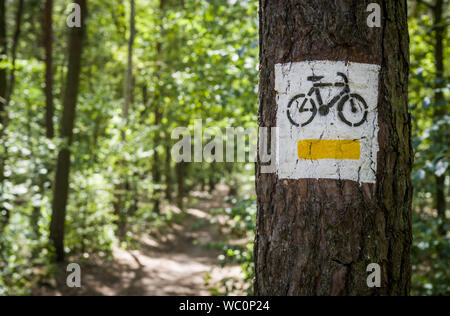 Biking track sign painted on a tree. Stock Photo
