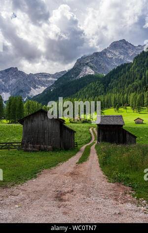 Forest path in the Dolomites, Val Fiscalina Stock Photo