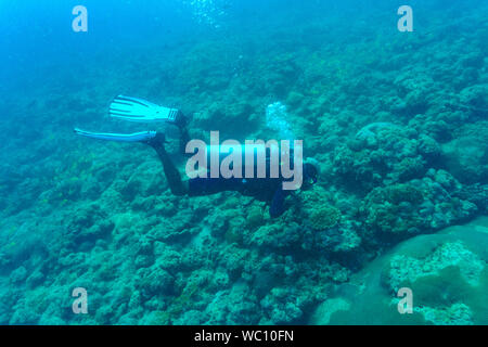 A Scuba Diver dving in a coral reef in Andaman Islands (India) - near ...