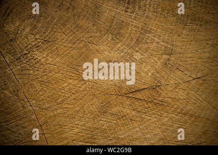 old wooden texture or brown wood grain trunk background Stock Photo