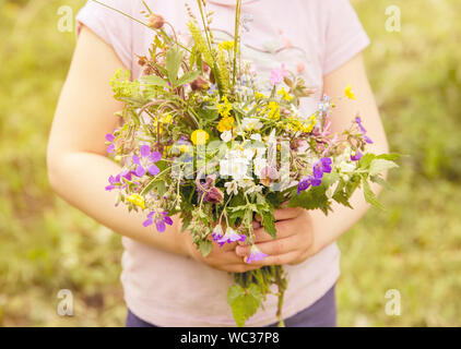 5 year old child holding bouquet of wild Northern European meadow and forest flower in arms. Selective focus on flowers, sunny summer day. Lovely coun Stock Photo