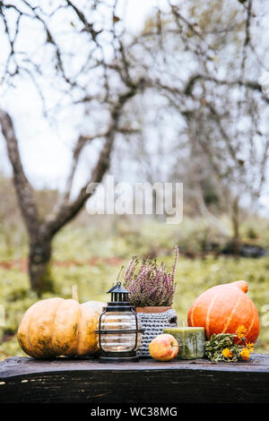 Autumn background with lantern, pumpkins, apple and heather flower in crochet pot outdoors in dark autumn day. Stock Photo