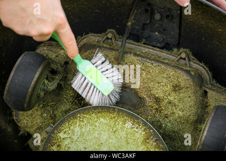 Close up view of man hand brushing off layer of wet grass stuck under automated lawnmower, maintenance concept. Stock Photo