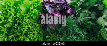 Fresh cutted herbs from garden on wooden rustic background Stock Photo