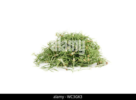 Pile of dried natural herbal remedy called Equisetum arvense the field horsetail or common horsetail isolated on white. Stock Photo