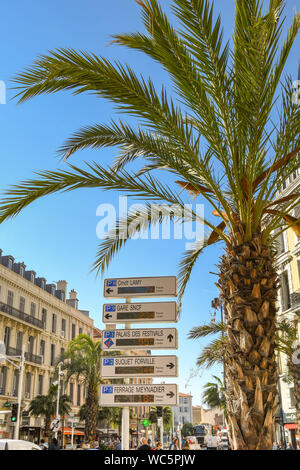 CANNES, FRANCE - APRIL 2019: Directional signs for tourists under a palm tree in Cannes. Stock Photo