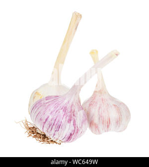 three bulbs of fresh garlic vegetable isolated on white background Stock Photo