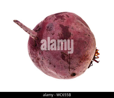 single ripe organic garden beetroot isolated on white background Stock Photo