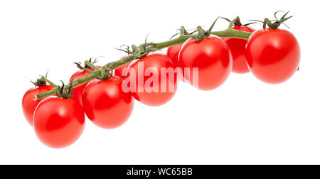branch of ripe red Cherry tomatoes isolated on white background Stock Photo