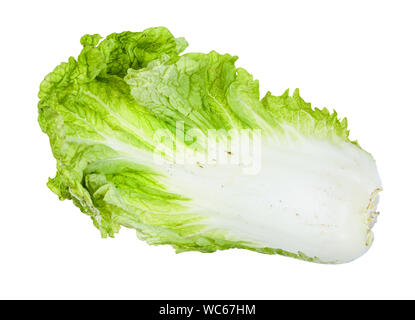 fresh green leaf of Napa cabbage isolated on white background Stock Photo