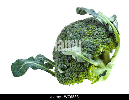 fresh green Broccoli with leaves isolated on white background Stock Photo