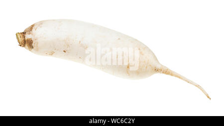 fresh root of Daikon long white radish isolated on white background Stock Photo