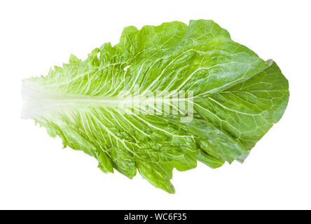 green leaf of Romaine lettuce isolated on white background Stock Photo