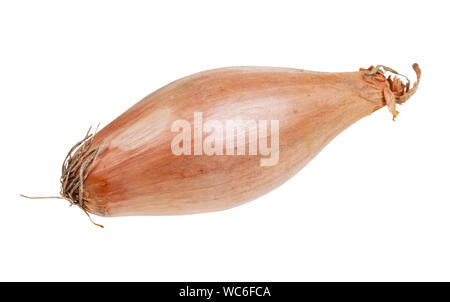 single bulb of shallot onion isolated on white background Stock Photo