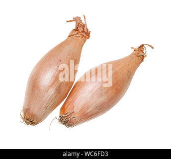 two bulbs of shallot onion isolated on white background Stock Photo