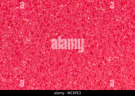 Pink cleaning kitchen sponge macro isolated Stock Photo