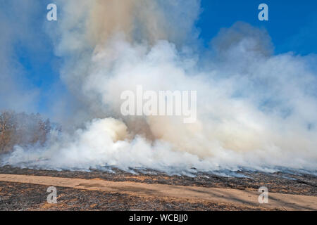 Smoke Rising From Controlled Prairie Burn in Spring Valley Nature Preserve in Schaumburg, Illinois Stock Photo
