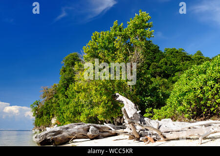 Togian islands on the gulf of Tomini in the central Sulawesi. The most populat tourist dive destination in Indonesia, Stock Photo