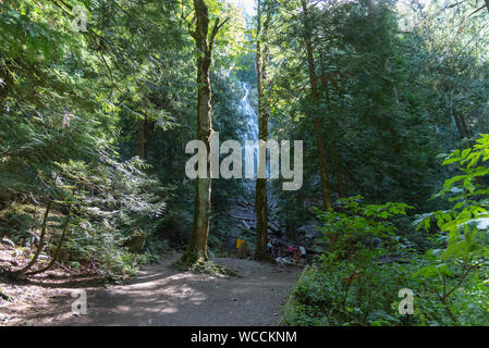 Chilliwack, British Columbia/Canada - September 10, 2016: hikers dwarfed by cedar trees stand on the plaform to view Bridal Veil Falls Stock Photo