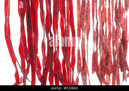 Fresh homemade beetroot pasta drying process. Raw red pasta on white background. Stock Photo