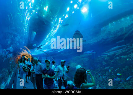 The image of Dubai Aquarium in Dubai Mall, UAE