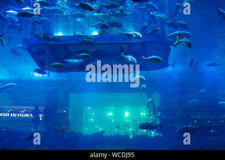 The image of Aquarium in Dubai Mall, UAE Stock Photo