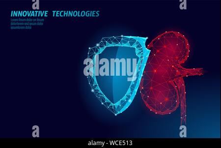 Human kidneys 3d protection shield medicine low poly concept. Triangle red pharmacy drugstore background. Supplement recovery reconstruction vector Stock Vector