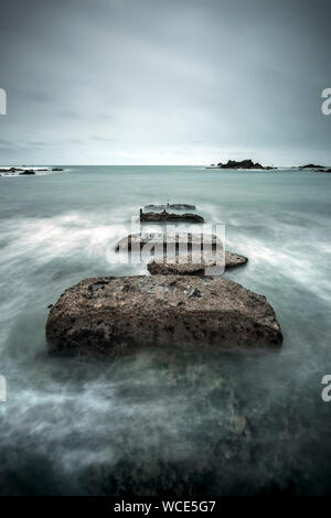 Lizard Point Rocks a lizard on the rocks Stock Photo - Alamy
