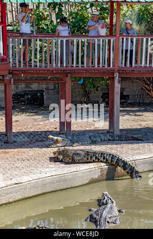 SAMUT PRAKAN, THAILAND, MAY 18 2019, Zoo visitors look at crocodiles in the pool. Tourists on footbridge feeding crocodiles. Stock Photo