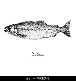 Salmon with inscription, hand drawn doodle sketch, isolated outline illustration Stock Photo