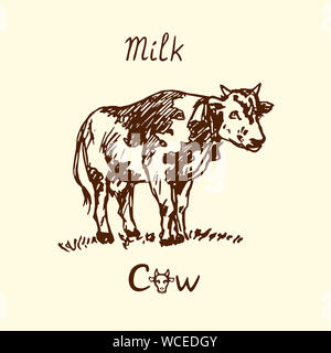 Cow standing, hand drawn doodle, sketch in retro gravure style illustration Stock Photo