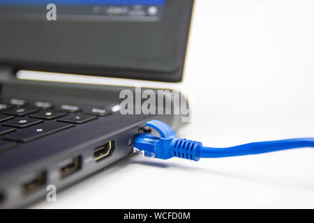 Closeup blue cable network connection to a Lan port of laptop computer on white table, concept computer connection internet and networking. Stock Photo