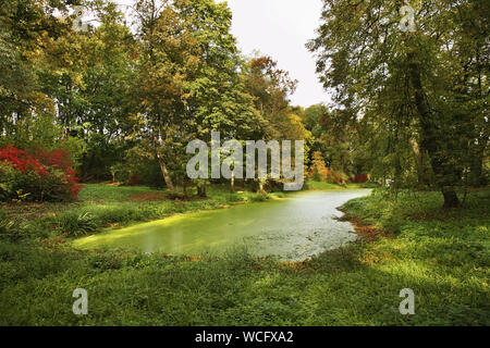 Pond in Yasnaya Polyana - Bright Glade homestead. Tula oblast. Russia Stock Photo