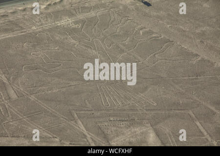 The Tree. View of geoglyph of tree, Nasca Lines, Peru Stock Photo