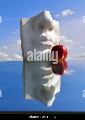 Plaster head model cast for drawing and red apple on mirror Stock Photo
