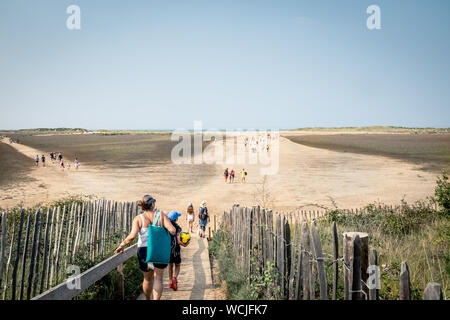 View of Holkham Beach near Wells Next The Sea, Norfolk, England from steps leading down from nature reserve Stock Photo