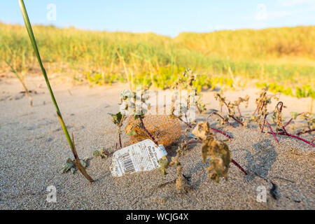 Plastic waste (plastic bottle) pollution on a beach in Wales UK Stock Photo