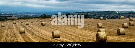 Straw Bales in the Landscape Stock Photo