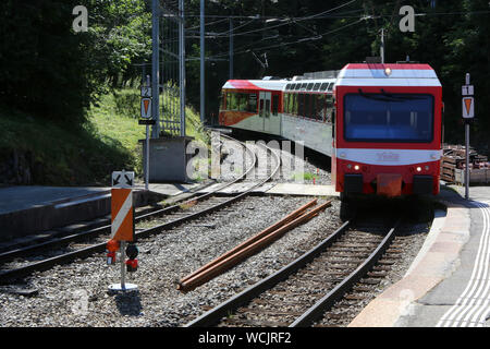 Ligne ferroviaire du Mont-Blanc Express. TMR. Transports de Martigny et Régions. Les Marécottes. Salvan. Suisse. / Mont-Blanc Express rail line. TMR. Stock Photo