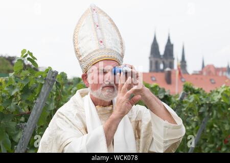 28 August 2019, Saxony, Meißen: The winegrower Dietmar Franke checks the sugar content of the must with a refractometer on the occasion of the official start of the grape harvest of the Saxon winegrowers' cooperative in a bishop's costume on the Ratsweinberg. The approximately 1,500 winegrowers of the Winzergenossenschaft start the grape harvest with the Müller-Thurgau variety. Photo: Sebastian Kahnert/dpa-Zentralbild/dpa Stock Photo