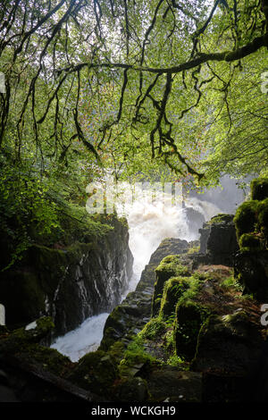 Europe, United Kindom, Highland , landscape near Pitlochry Stock Photo