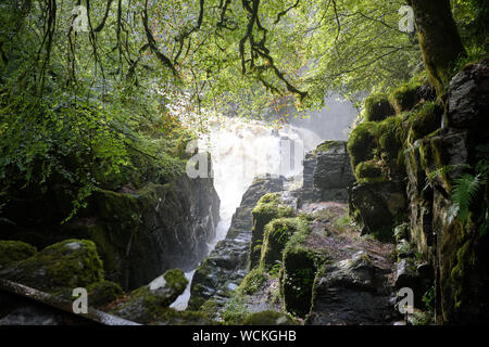 Europe, United Kindom, Highland , landscape near Pitlochry Stock Photo