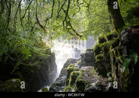 Europe, United Kindom, Highland , landscape near Pitlochry Stock Photo