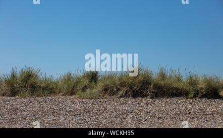 Grasses on a beach in Suffolk Stock Photo