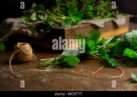 Heap of freshly cut mint on rusty colored background. Horizontal orientation, front view. Stock Photo