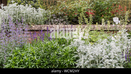 Mixed border, Goldney House and Gardens, Clifton, Bristol, UK Stock Photo